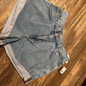 Free People We the Free  Denim Blue Women's Shorts